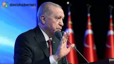 Cumhurbaşkanı Erdoğan: Gabar ve Karadeniz'deki keşiflerle talihimiz değişti